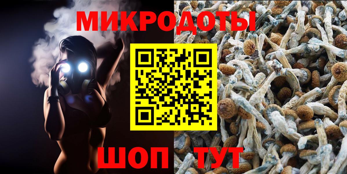 Галлюциногенные грибы Cubensis Зеленокумск