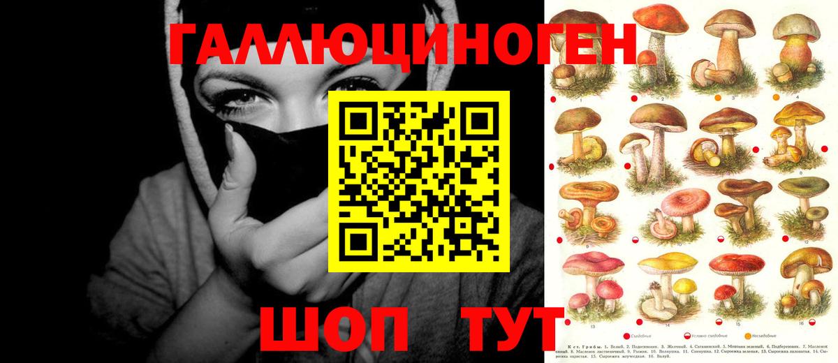 Галлюциногенные грибы Cubensis  Вход с VPN  сколько стоит  Зеленокумск 